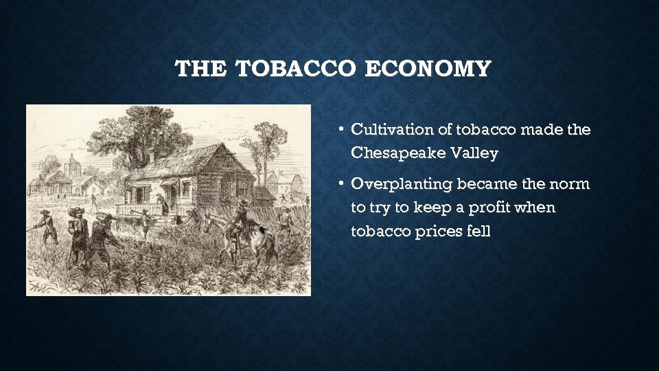 THE TOBACCO ECONOMY • Cultivation of tobacco made the Chesapeake Valley • Overplanting became