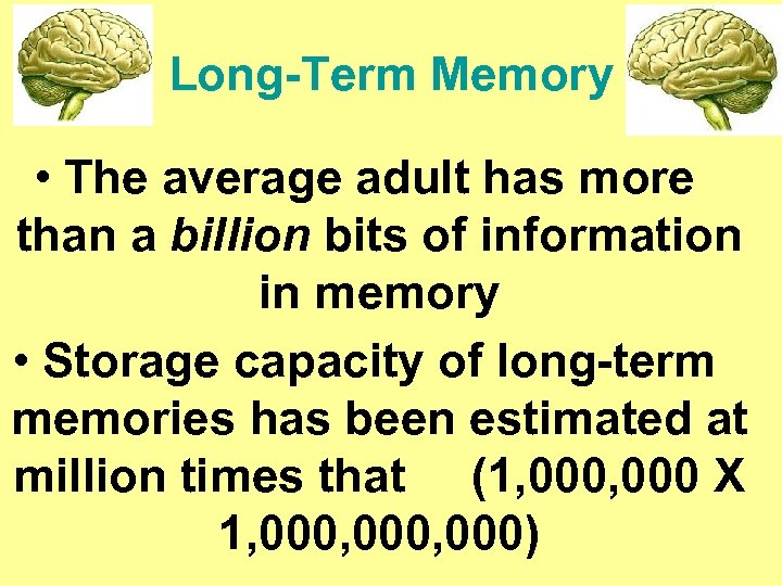 Long-Term Memory • The average adult has more than a billion bits of information