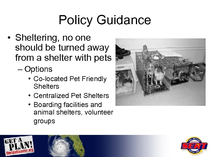 Policy Guidance • Sheltering, no one should be turned away from a shelter with