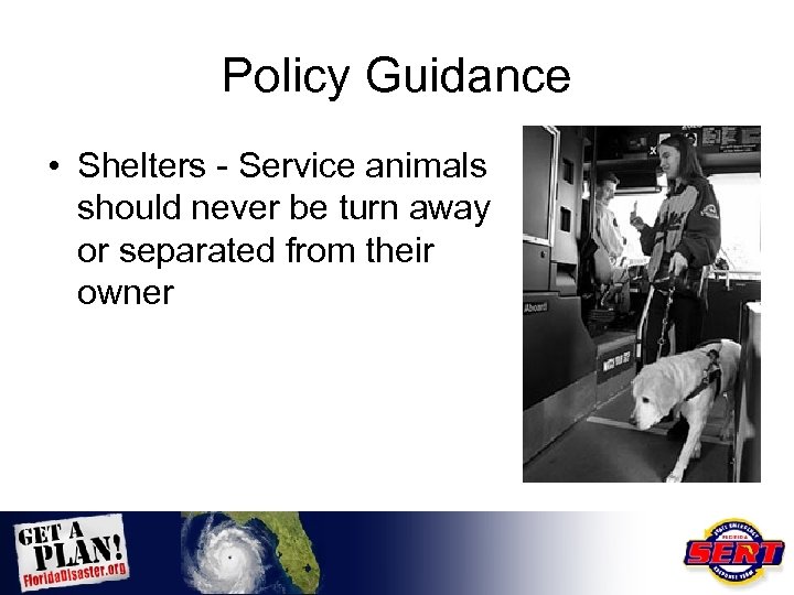 Policy Guidance • Shelters - Service animals should never be turn away or separated