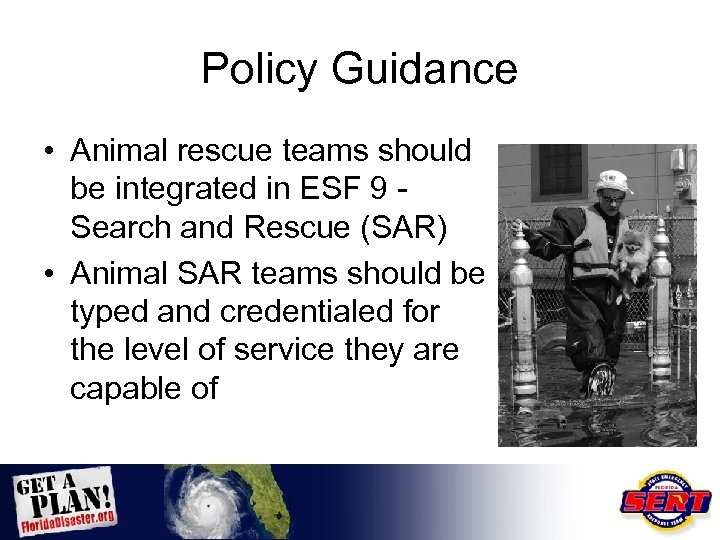 Policy Guidance • Animal rescue teams should be integrated in ESF 9 Search and