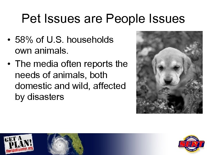 Pet Issues are People Issues • 58% of U. S. households own animals. •