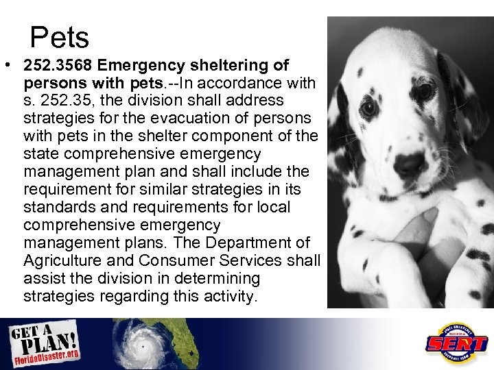 Pets • 252. 3568 Emergency sheltering of persons with pets. --In accordance with s.
