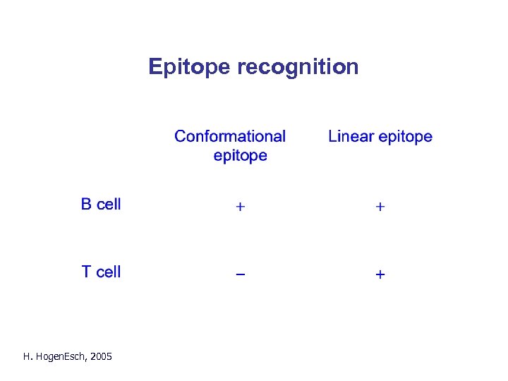 Epitope recognition H. Hogen. Esch, 2005 