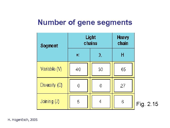 Number of gene segments Fig. 2. 15 H. Hogen. Esch, 2005 