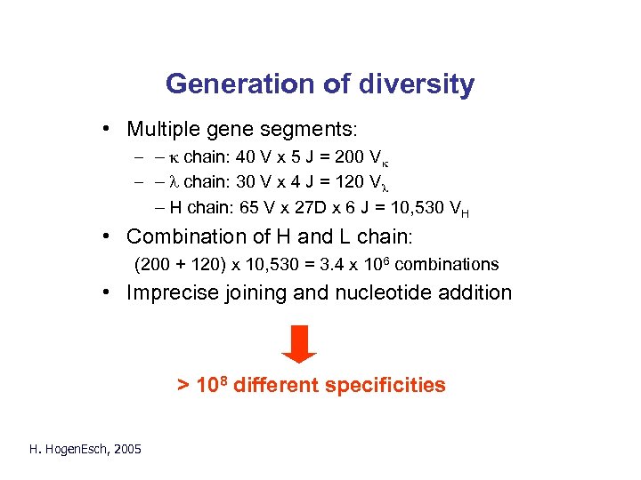 Generation of diversity • Multiple gene segments: – - k chain: 40 V x