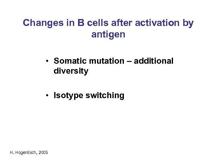 Changes in B cells after activation by antigen • Somatic mutation – additional diversity