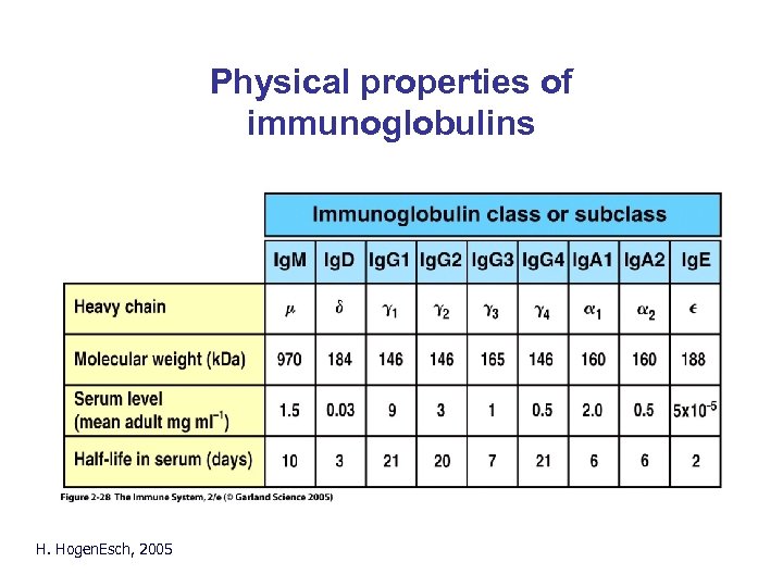 Physical properties of immunoglobulins H. Hogen. Esch, 2005 