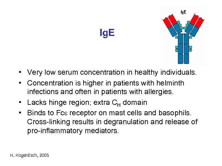 Ig. E • Very low serum concentration in healthy individuals. • Concentration is higher