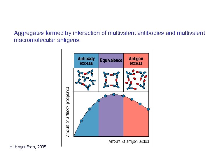 Precipitation reaction Aggregates formed by interaction of multivalent antibodies and multivalent macromolecular antigens. H.