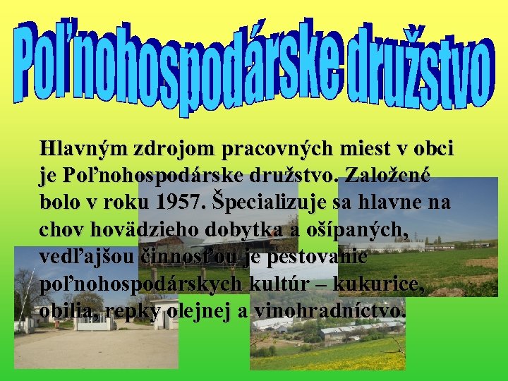 Hlavným zdrojom pracovných miest v obci je Poľnohospodárske družstvo. Založené bolo v roku 1957.