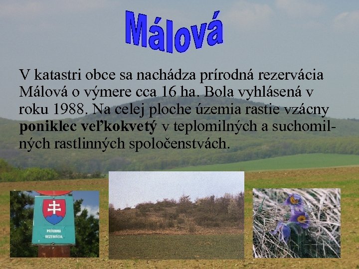 V katastri obce sa nachádza prírodná rezervácia Málová o výmere cca 16 ha. Bola