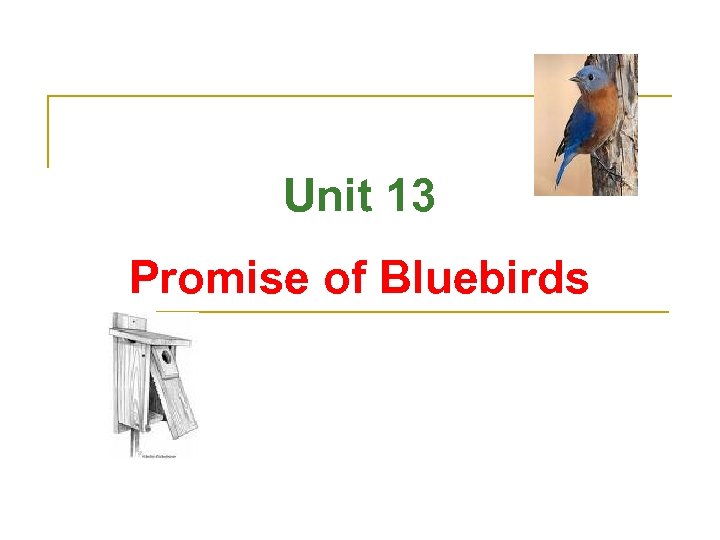 Unit 13 Promise of Bluebirds 