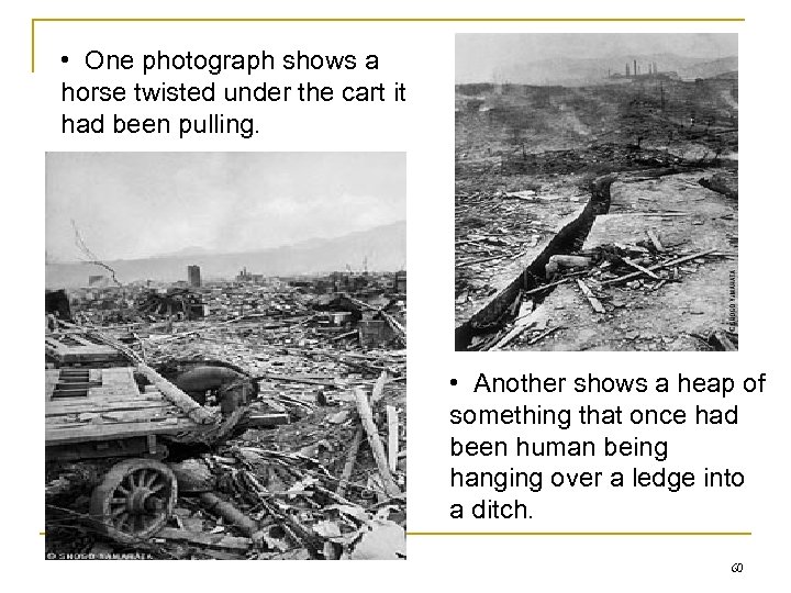  • One photograph shows a horse twisted under the cart it had been