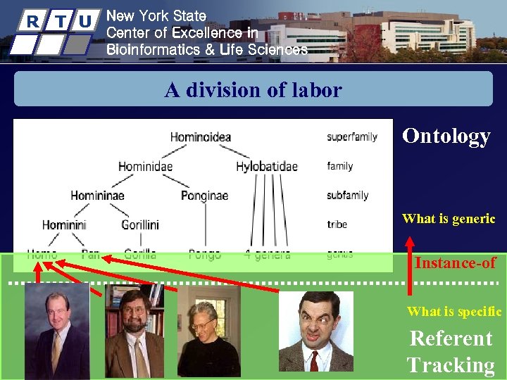 R T U New York State Center of Excellence in Bioinformatics & Life Sciences