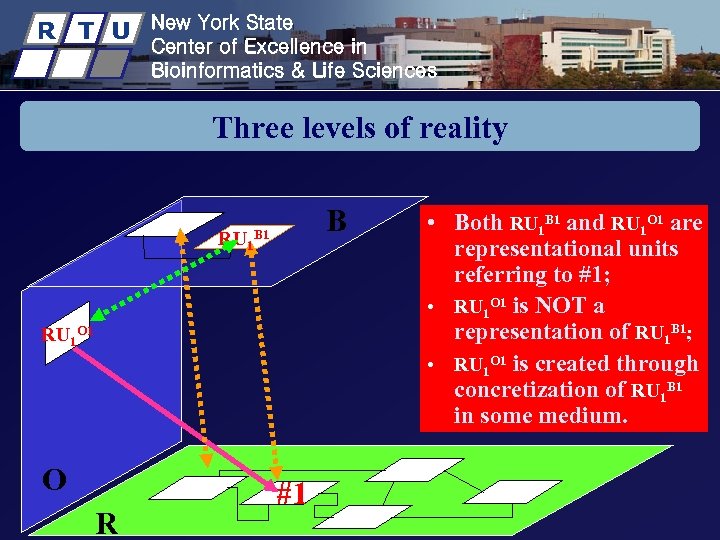 R T U New York State Center of Excellence in Bioinformatics & Life Sciences