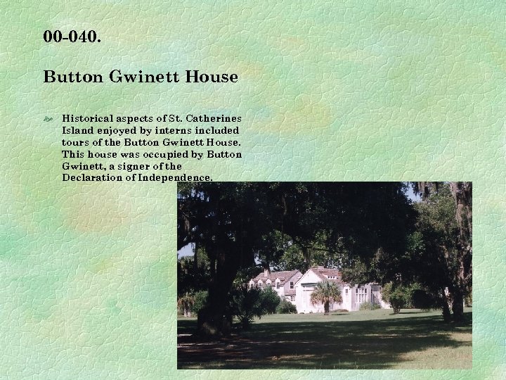 00 -040. Button Gwinett House Historical aspects of St. Catherines Island enjoyed by interns
