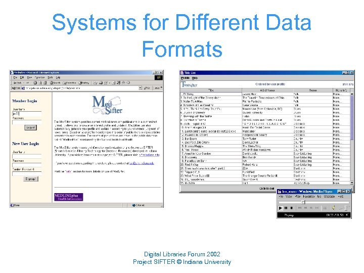 Systems for Different Data Formats Digital Libraries Forum 2002 Project SIFTER © Indiana University