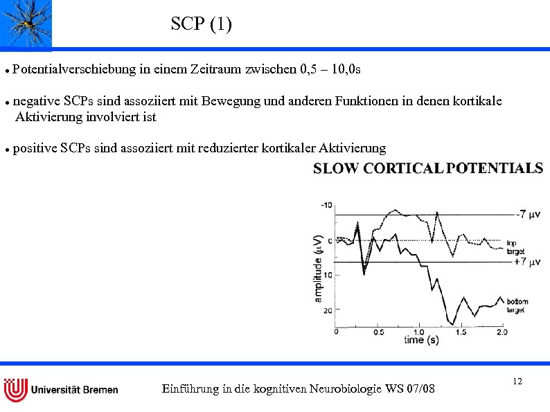 SCP (1) Potentialverschiebung in einem Zeitraum zwischen 0, 5 – 10, 0 s negative