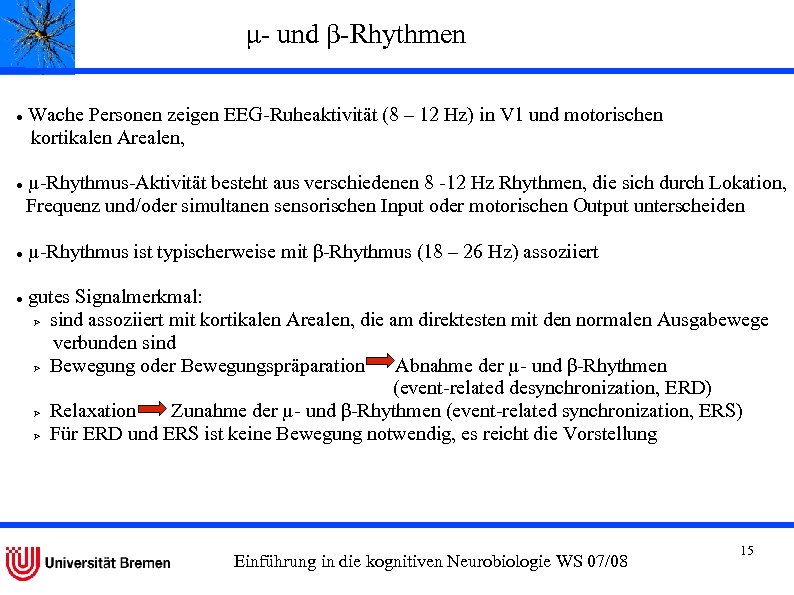 μ- und β-Rhythmen Wache Personen zeigen EEG-Ruheaktivität (8 – 12 Hz) in V 1
