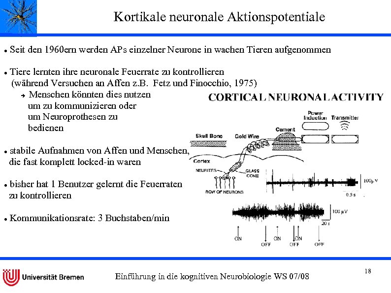 Kortikale neuronale Aktionspotentiale Seit den 1960 ern werden APs einzelner Neurone in wachen Tieren