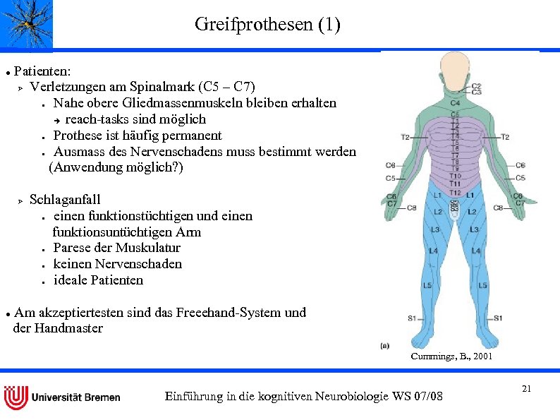 Greifprothesen (1) Patienten: Verletzungen am Spinalmark (C 5 – C 7) Nahe obere Gliedmassenmuskeln