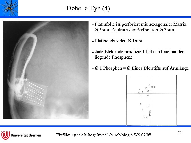 Dobelle-Eye (4) Platinfolie ist perforiert mit hexagonaler Matrix Ø 5 mm, Zentrum der Perforation