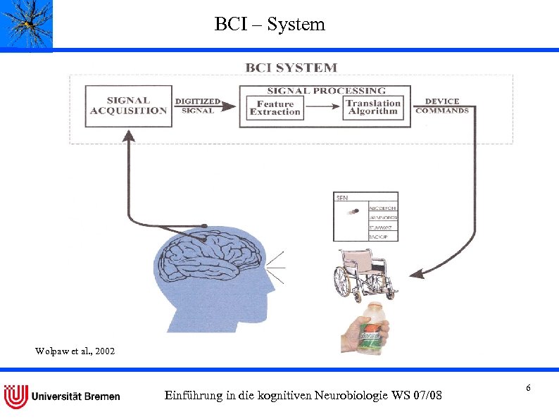 BCI – System Wolpaw et al. , 2002 Einführung in die kognitiven Neurobiologie WS