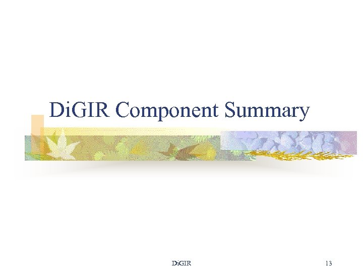 Di. GIR Component Summary Di. GIR 13 