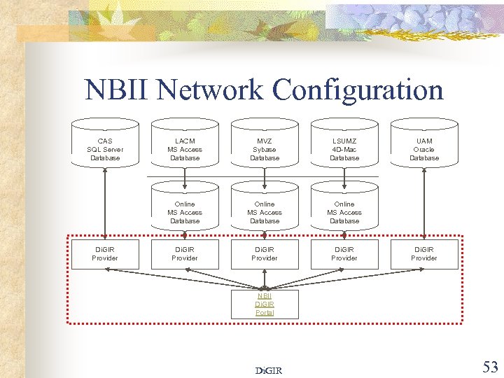 NBII Network Configuration CAS SQL Server Database MVZ Sybase Database LSUMZ 4 D-Mac Database