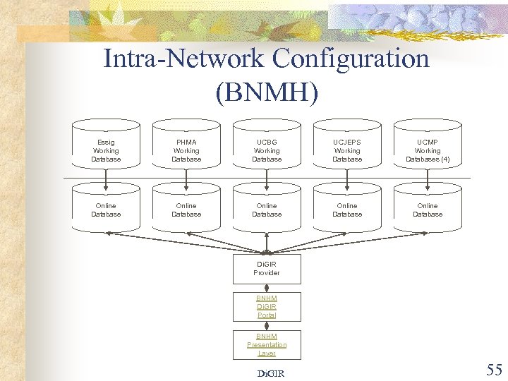 Intra-Network Configuration (BNMH) Essig Working Database PHMA Working Database UCBG Working Database UCJEPS Working