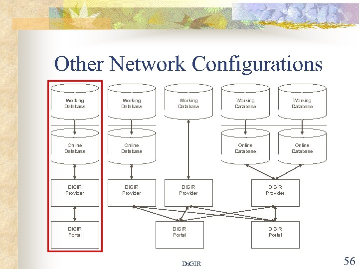 Other Network Configurations Working Database Online Database Di. GIR Provider Di. GIR Portal Working