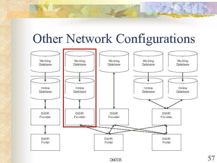 Other Network Configurations Working Database Online Database Di. GIR Provider Di. GIR Portal Working