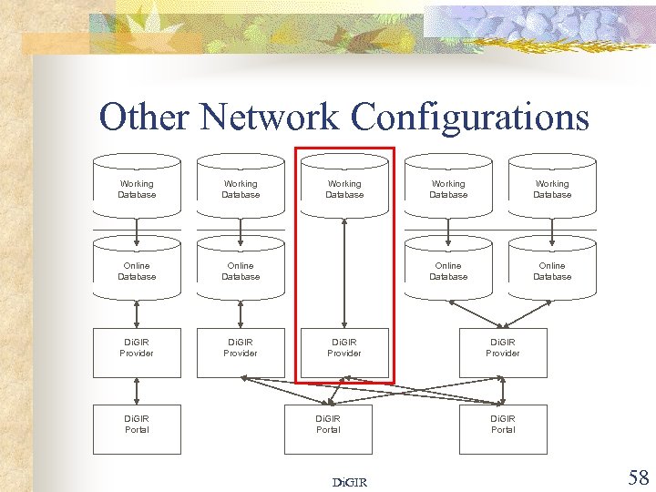 Other Network Configurations Working Database Online Database Di. GIR Provider Di. GIR Portal Working