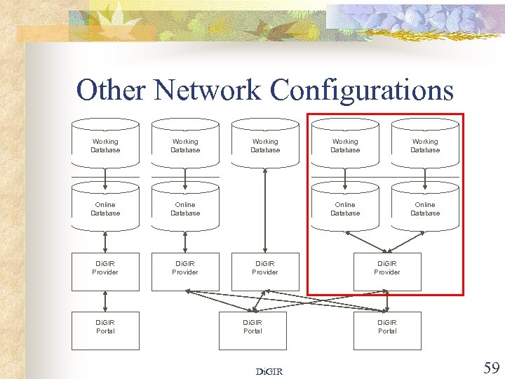 Other Network Configurations Working Database Online Database Di. GIR Provider Di. GIR Portal Working