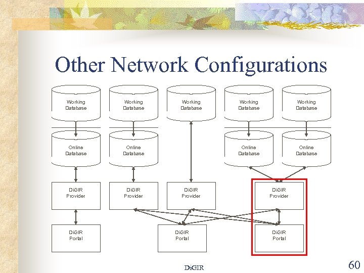 Other Network Configurations Working Database Online Database Di. GIR Provider Di. GIR Portal Working