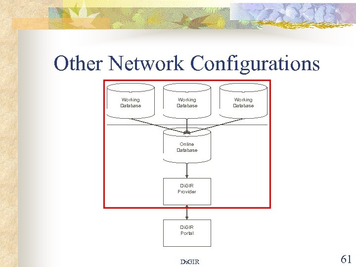 Other Network Configurations Working Database Online Database Di. GIR Provider Di. GIR Portal Di.