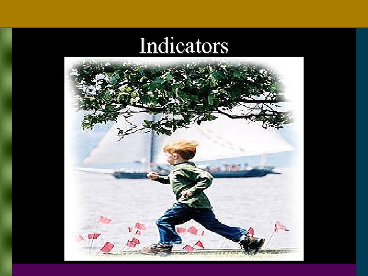 Indicators 