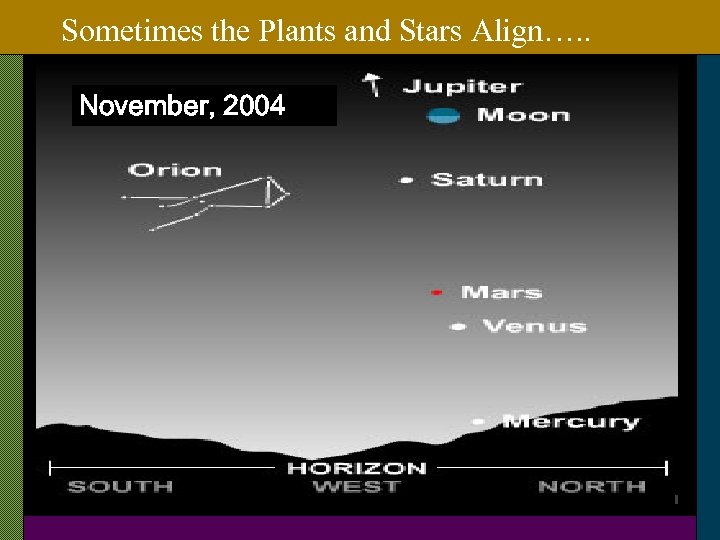 Sometimes the Plants and Stars Align…. . November, 2004 