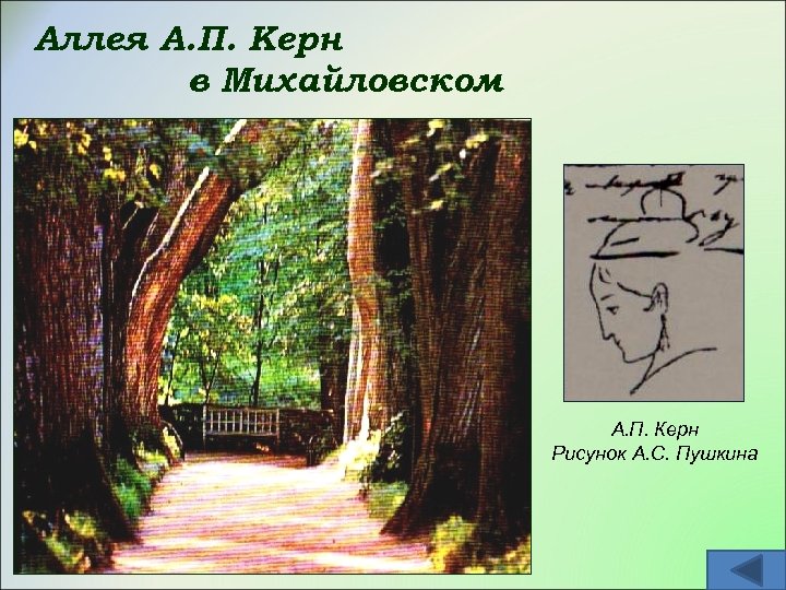 Аллея А. П. Керн в Михайловском А. П. Керн Рисунок А. С. Пушкина 