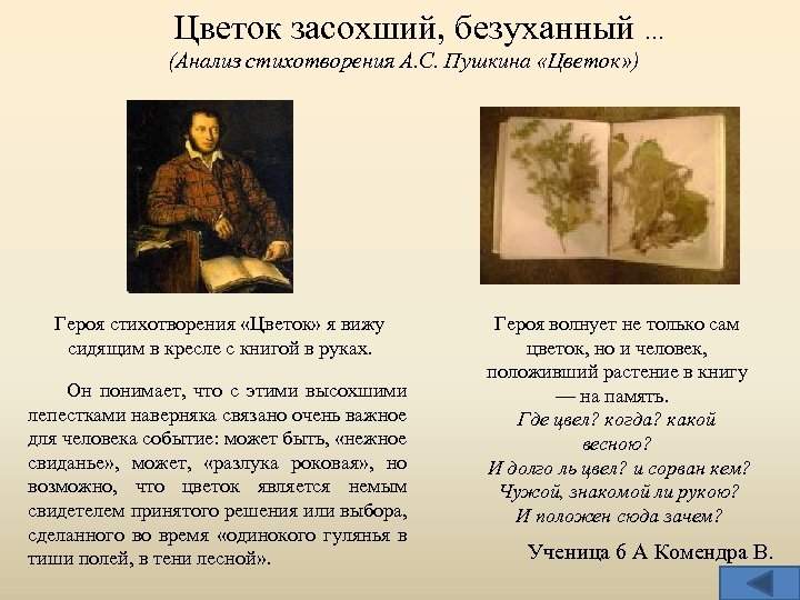 Цветок засохший, безуханный … (Анализ стихотворения А. С. Пушкина «Цветок» ) Героя стихотворения «Цветок»