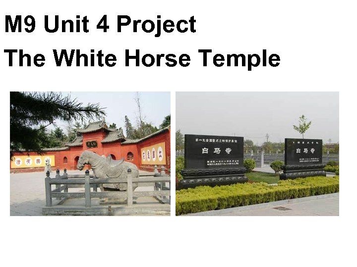 M 9 Unit 4 Project The White Horse Temple 