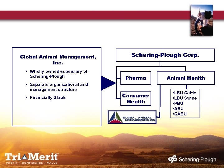 Global Animal Management, Inc. • Wholly owned subsidiary of Schering-Plough • Separate organizational and