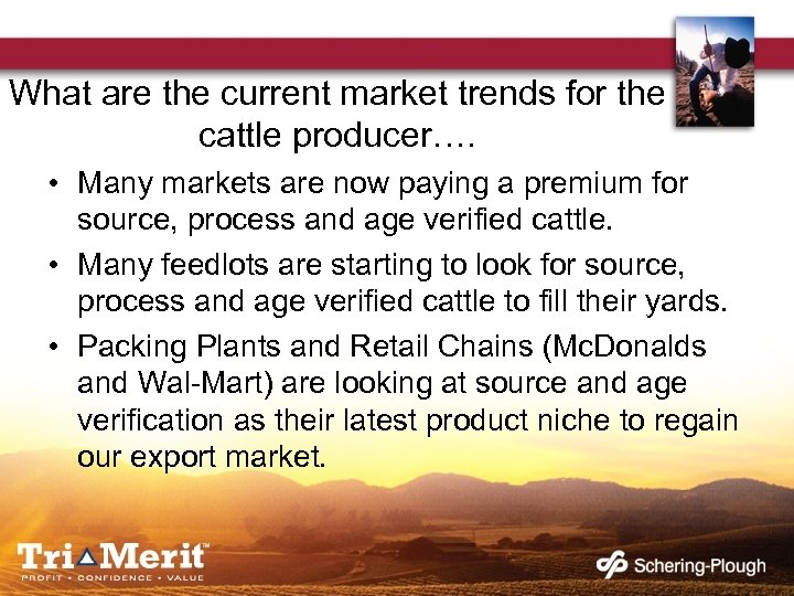 What are the current market trends for the cattle producer…. • Many markets are