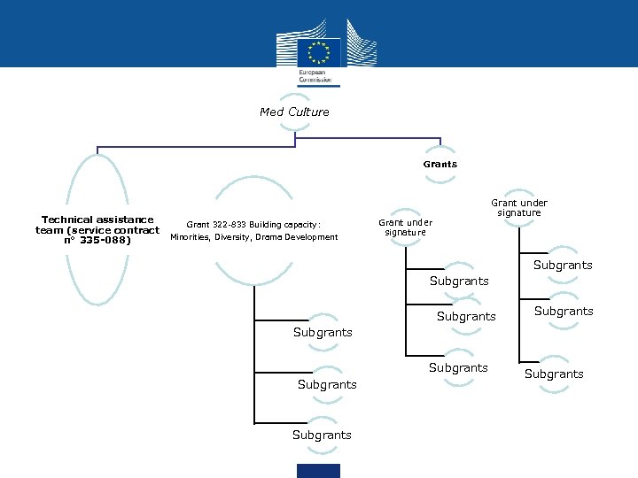 Med Culture Grants Technical assistance team (service contract n° 335 -088) Grant 322 -833