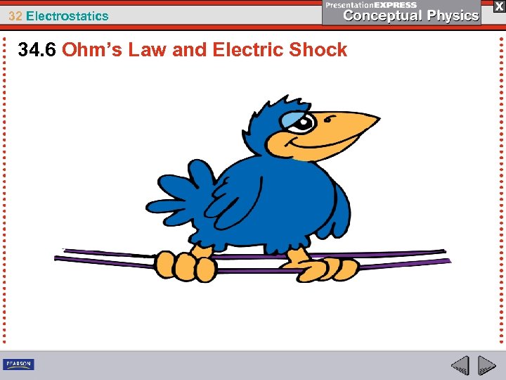 32 Electrostatics 34. 6 Ohm’s Law and Electric Shock 