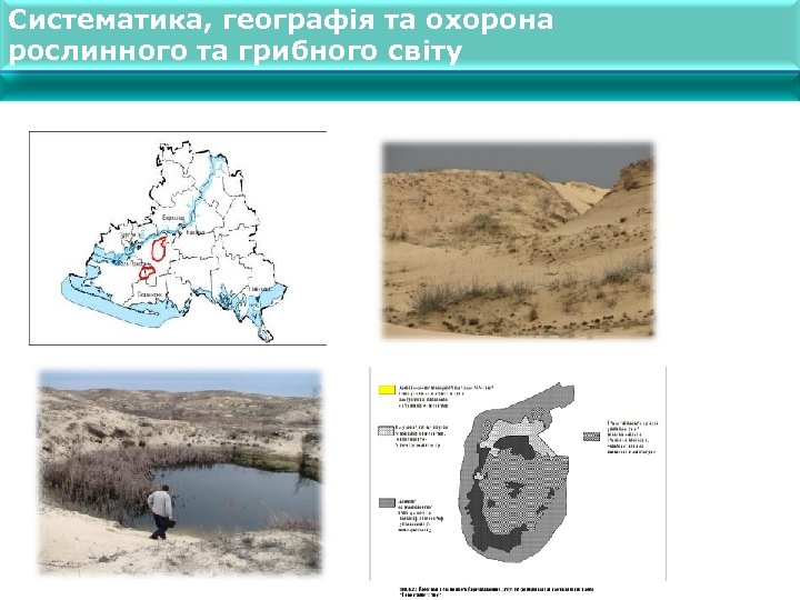 Систематика, географія та охорона рослинного та грибного світу 