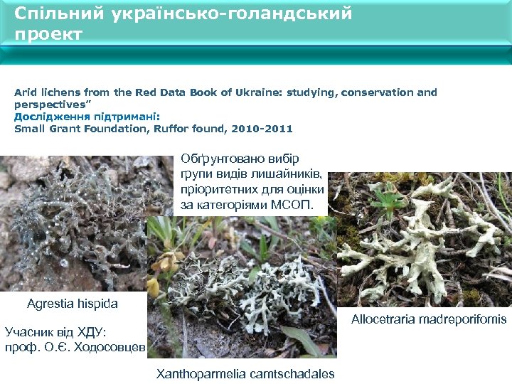 Спільний українсько-голандський проект Arid lichens from the Red Data Book of Ukraine: studying, conservation