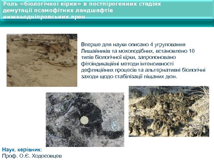 Роль «біологічної кірки» в постпірогенних стадіях демутації псамофітних ландшафтів нижньодніпровських арен Вперше для науки