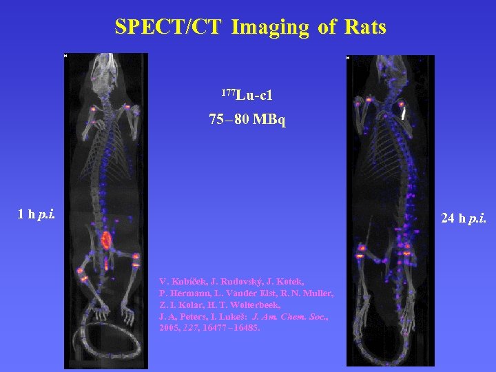 SPECT/CT Imaging of Rats 177 Lu-c 1 75 – 80 MBq 1 h p.